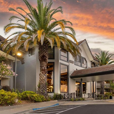 Best Western Plus Novato Oaks Inn Экстерьер фото